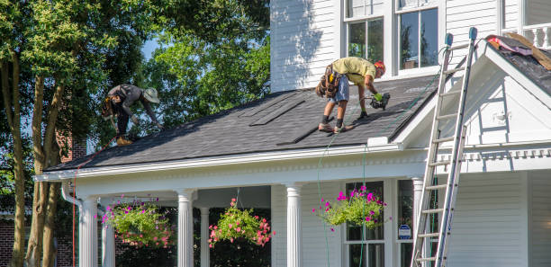 Best Roof Insulation Installation  in Alum Rock, CA